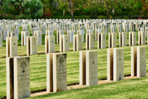 cemetery rows